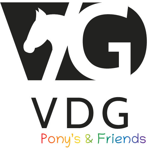 Manege Pony's en Friends in Wijchen