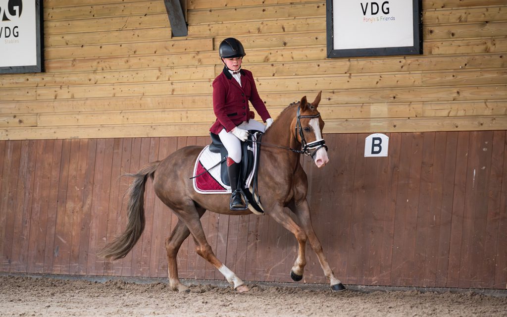 Doorgroeien in de pony sport met lessen en clinics