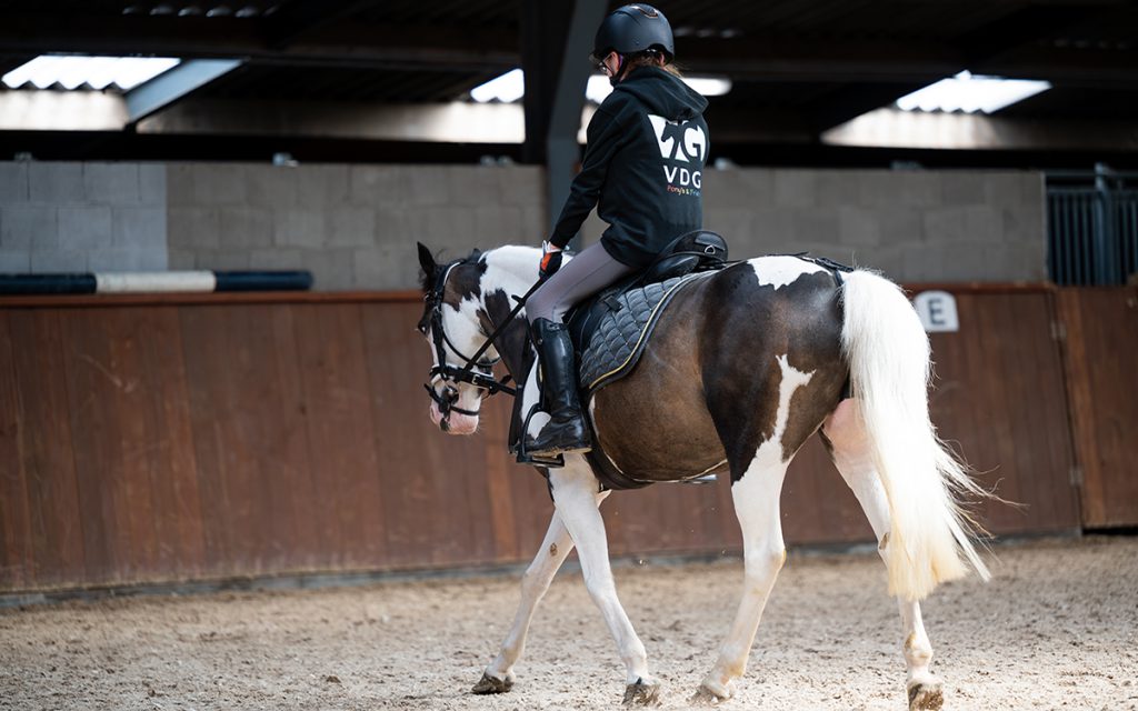 Ponyrijden op wedstrijdniveau bij sportmanage in Wijchen